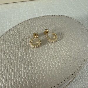 Electric Picks Gold Crystal Hoop Earrings